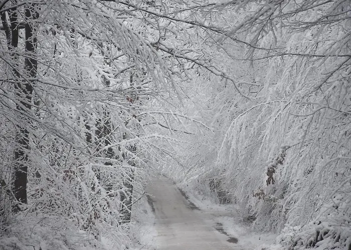 Lesne Vip Prázdninový dům Prokowo