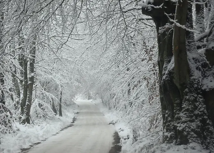 Prázdninový dům Lesne Vip
