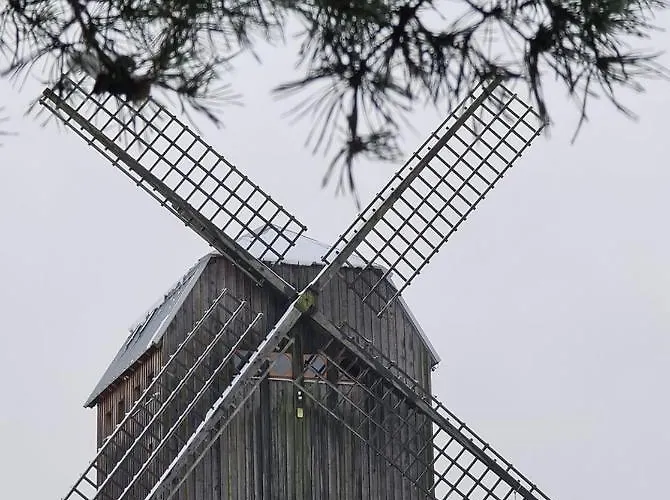 Dom wakacyjny Lesne Vip *